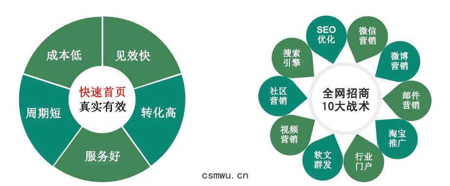 百(bǎi)度關鍵詞(cí)快速排名(míng)方案